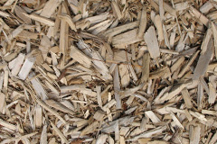 biomass boilers Cardrona